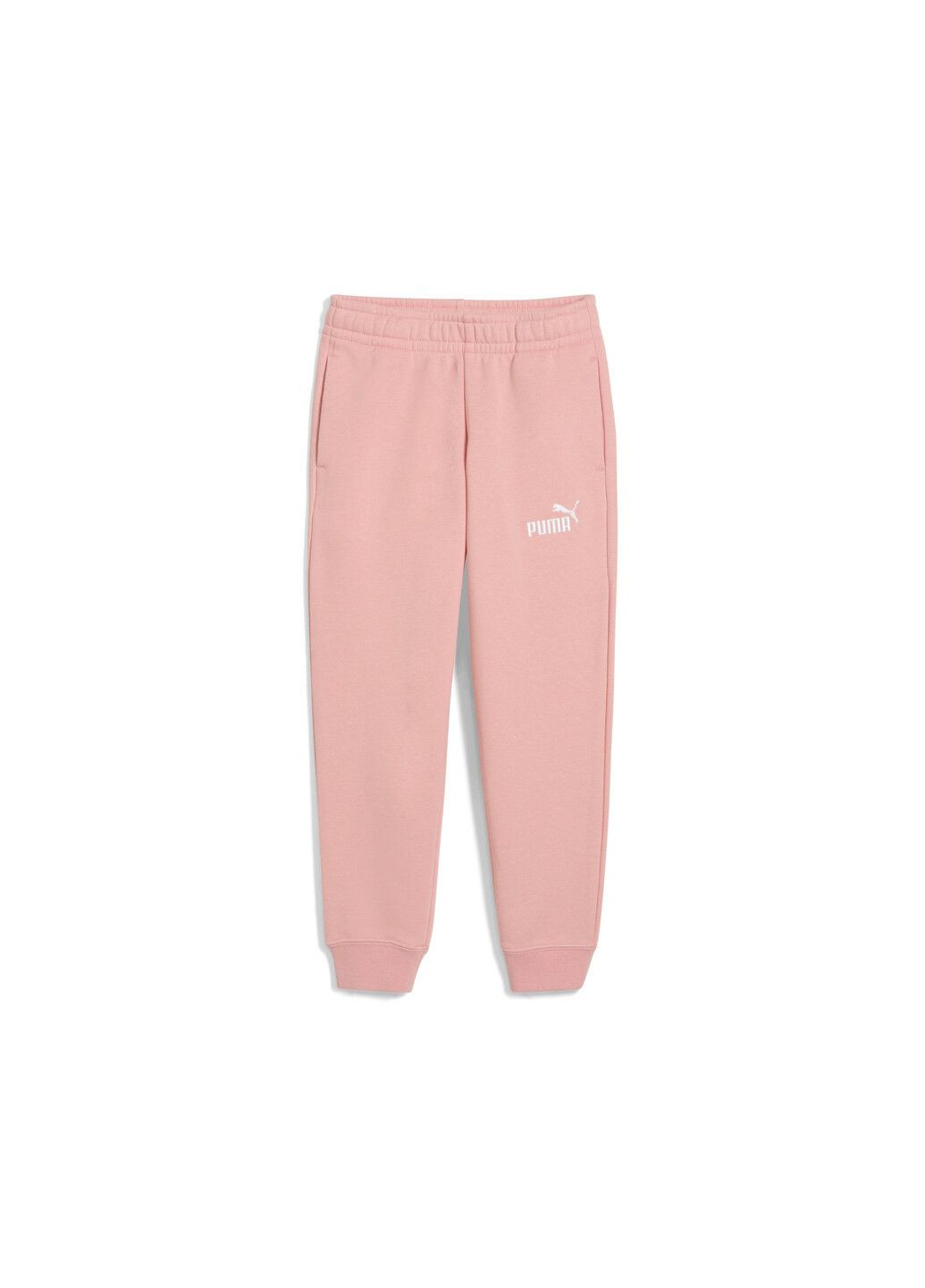 Дитячі штани Essentials No. 1 Logo Sweatpants Kids Puma (317319223)