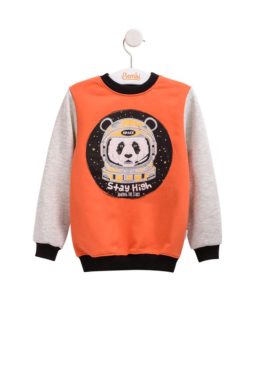 Джемпер для мальчика Панда Бембі (315780798)