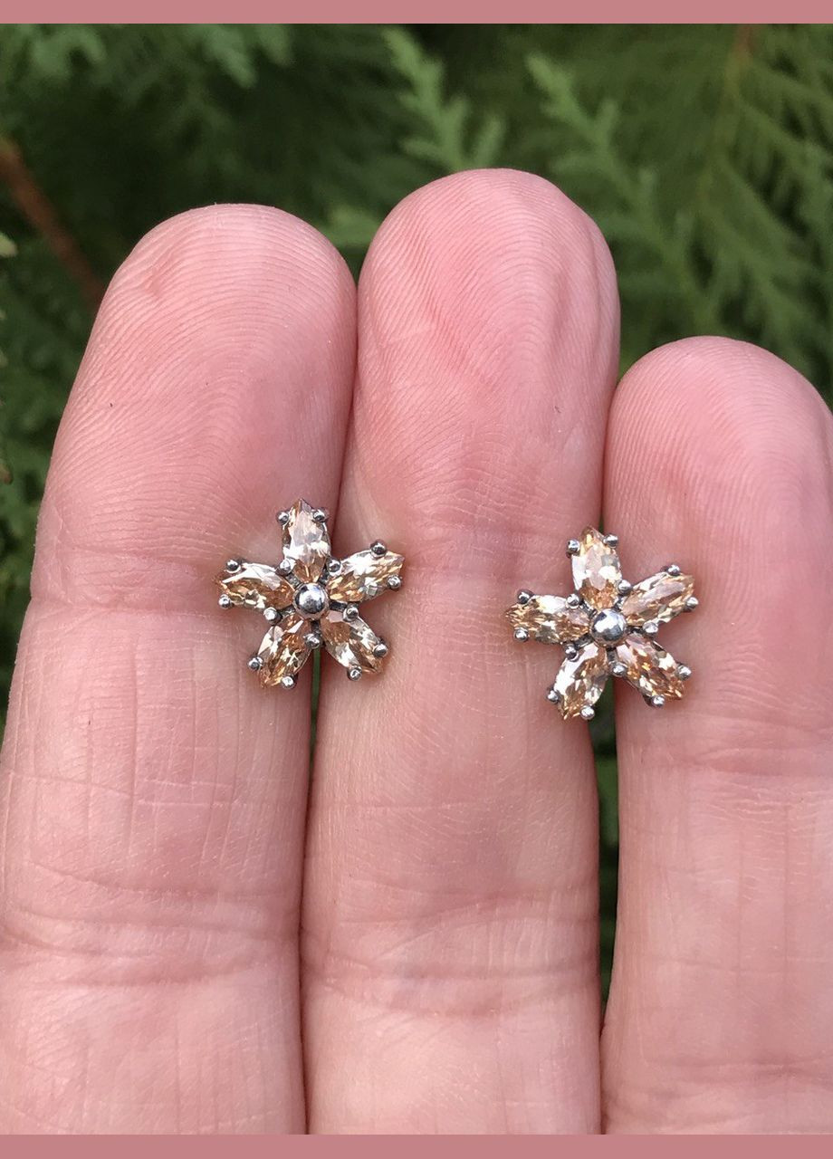 Сережки No Brand (316398084)