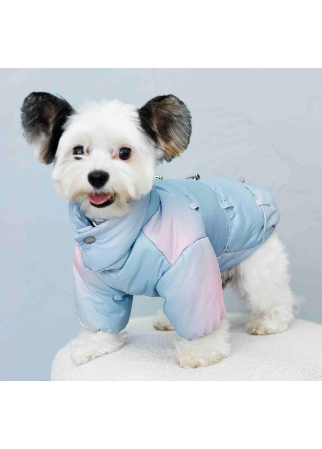 Куртка с фиксаторами тайдай голубая K-83 Размер 9 Dogs Bomba (370275777)