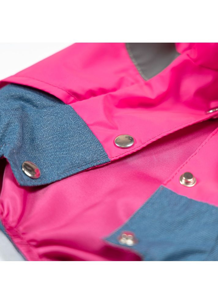 Дождевик Betty ХS2 для собак девочка Pet Fashion (370368681)