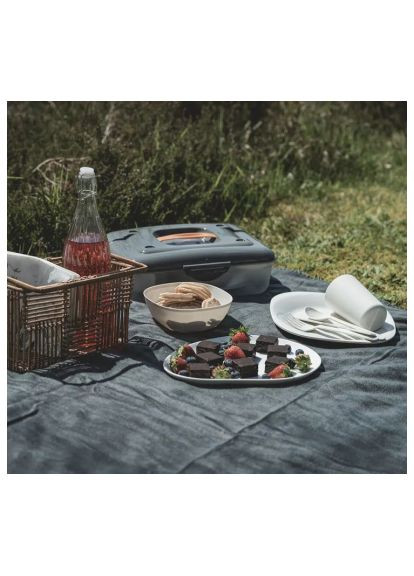 Набор для пикника Picnic Box M (680239) (931746) Easy Camp Picnic Box M (680239) (370020328)