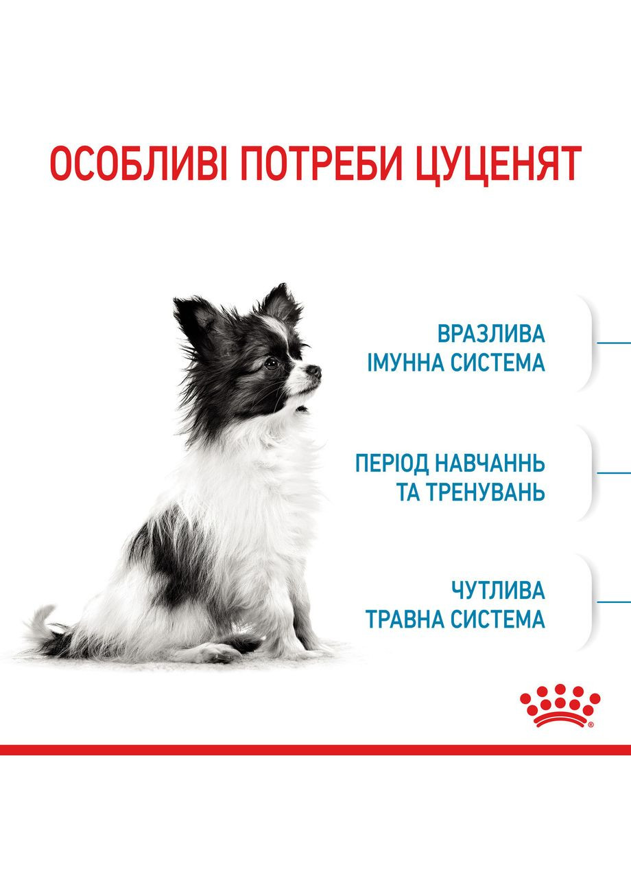 Корм для цуценят мініатюрних порід XSMALL PUPPY 0.5 кг Royal Canin (347149150)