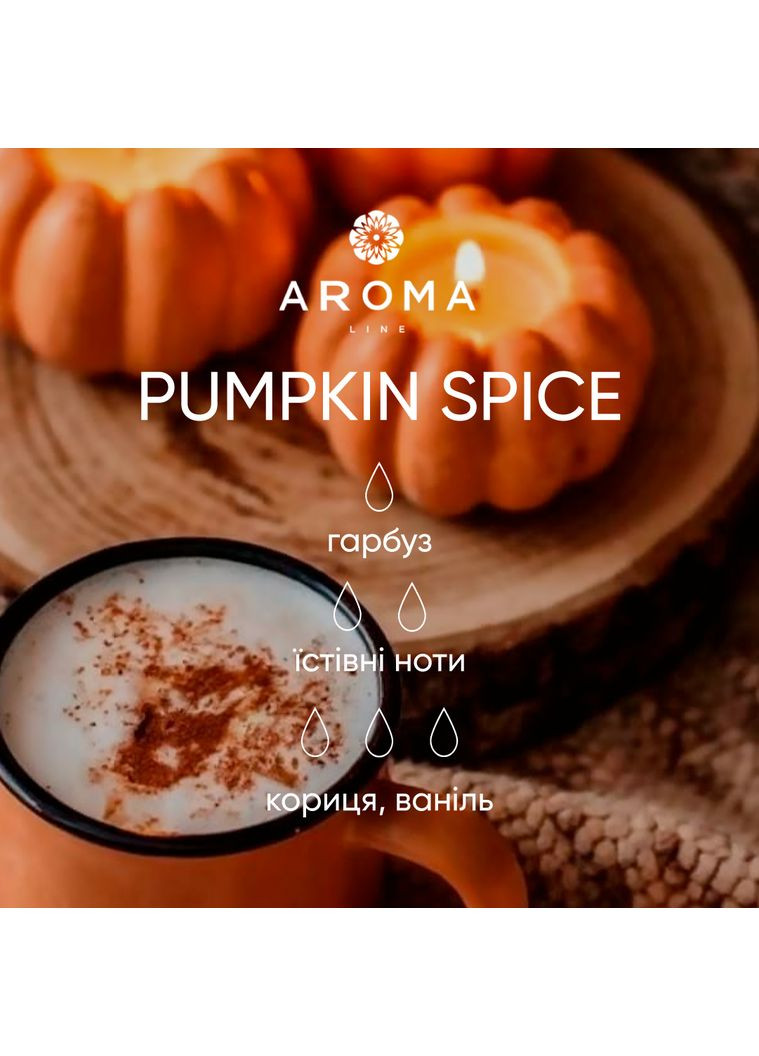 Аромат/отдушка для свеч PUMPKIN SPICE 100гр Aroma line (322243992)
