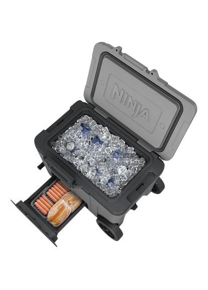 Термобокс FrostVault 42L Hard Coole (FB245EUGY) Ninja (332613647)