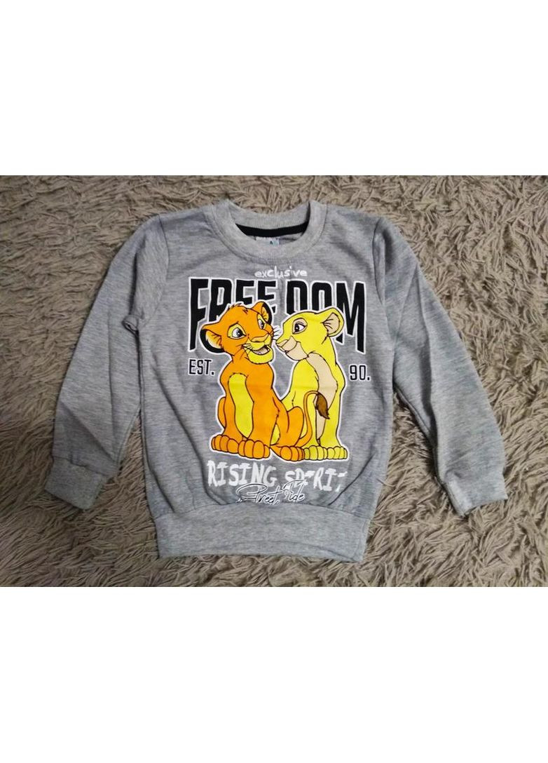 Сірий демісезонний дитячий батнік free dom Kids Klub