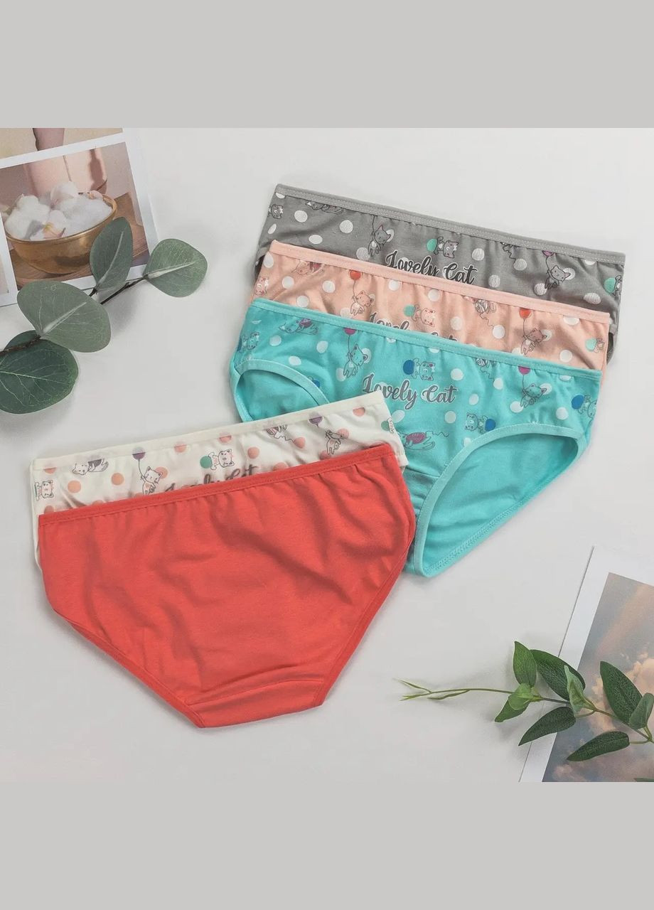 Дитячі трусики для дівчаток, набір 5 штук (Туреччина) Nicoletta (315006048)