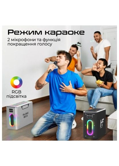 Акустическая система (musicbox.silver) HiFuture MusicBox 100W Silver (366154590)