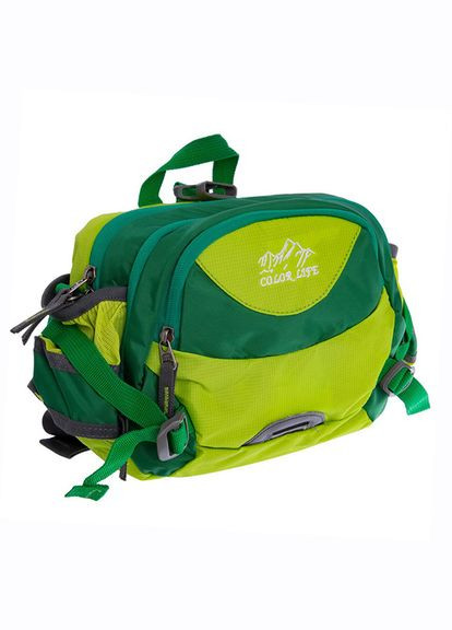 Сумка поясная Color Life Waist Bag TY-5335, (39508226) FDSO (322732258)