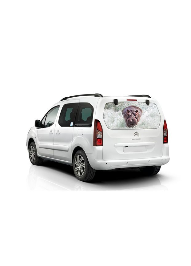 3д наклейка на заднє скло 3D TUNING STUDIO Бегемот 1490х700х0.18 No Brand (362499846)