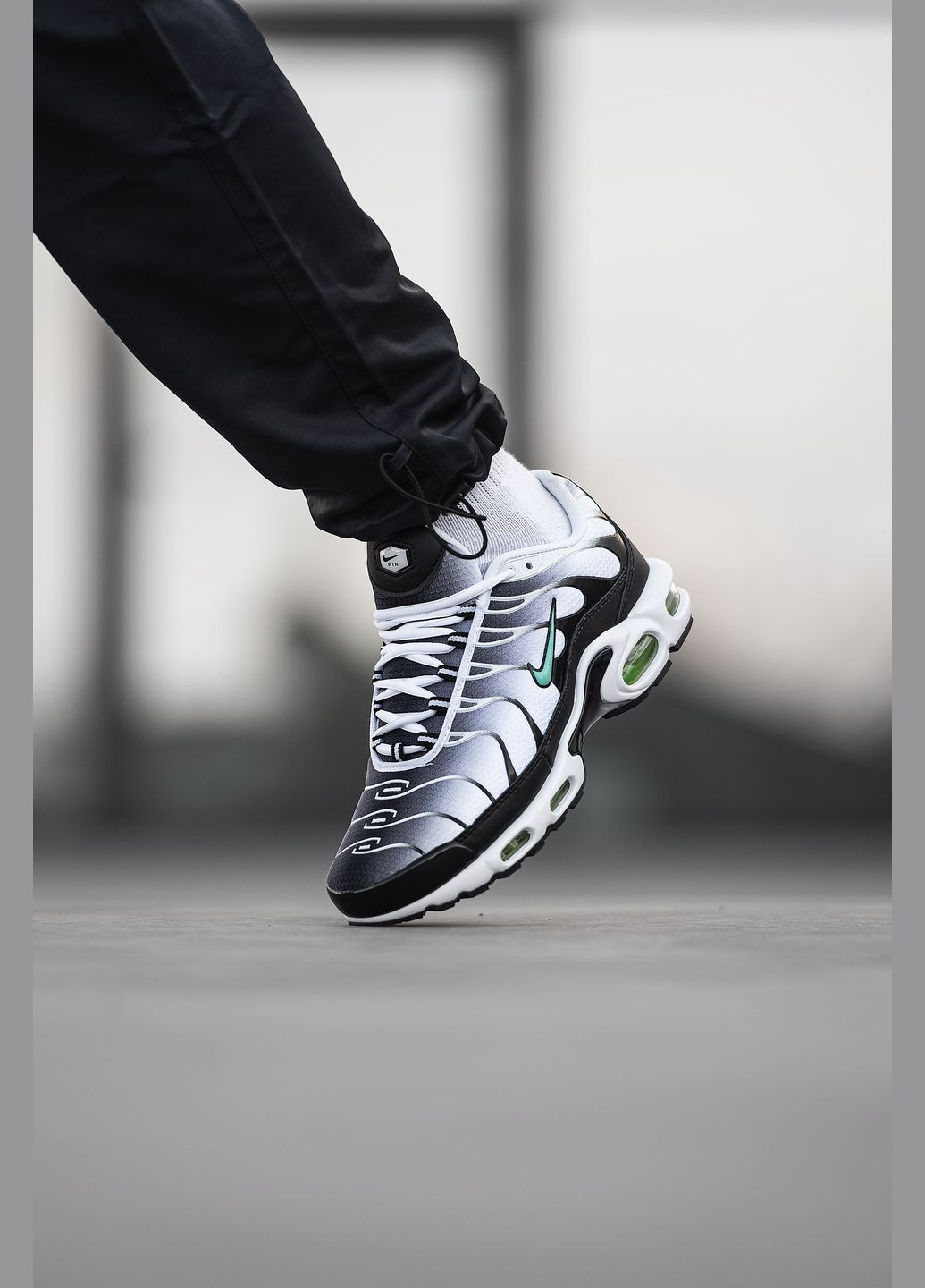 Кроссовки женские и мужские Nike Air Max TN Plus black white | Найк Аир Макс ТН Плюс черно-белые No Brand чёрно-белые демисезоны (315483026)