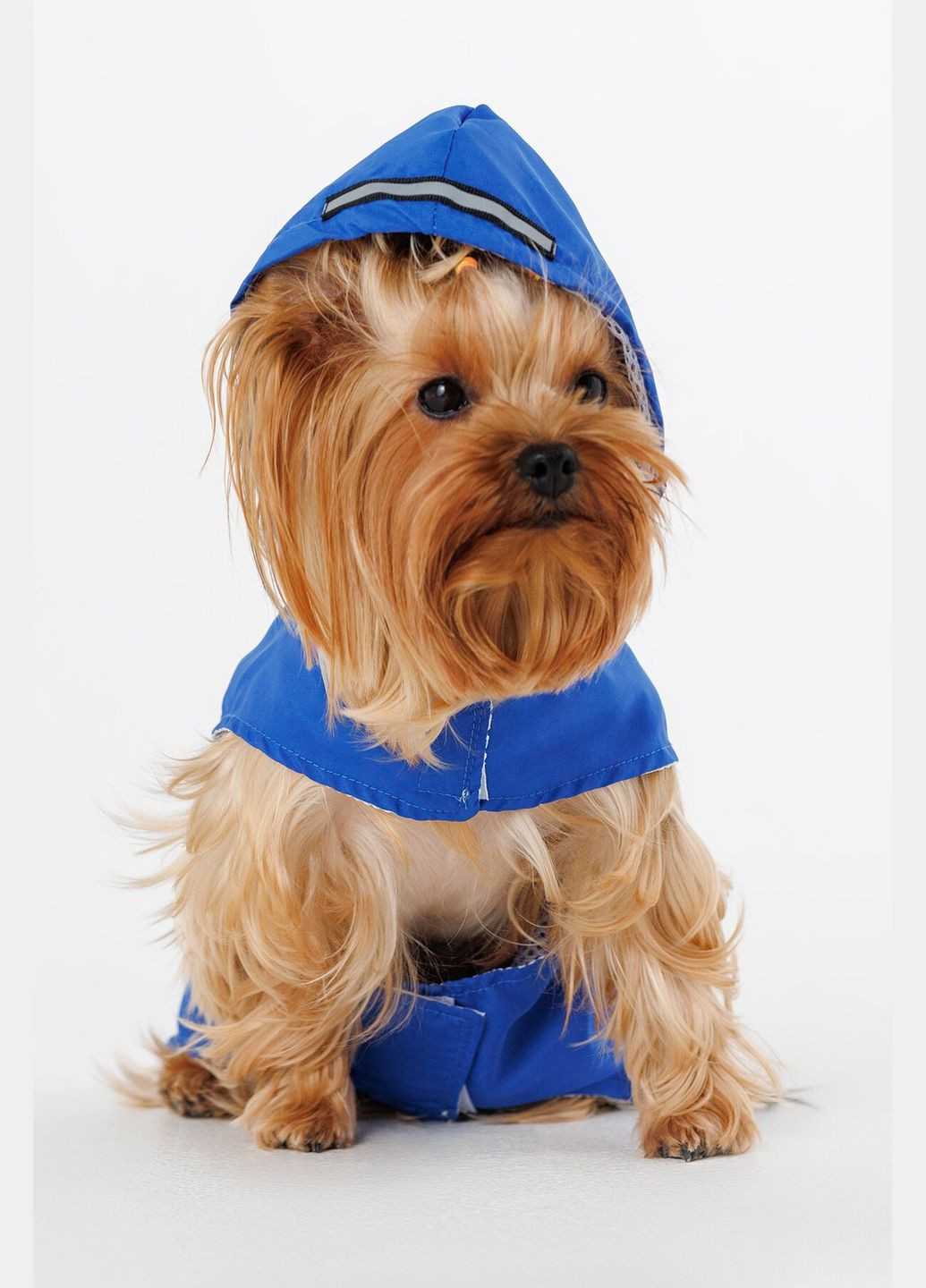 Дощовик для тварин KM52619 (2000990380562A) shop (2000990380562) KUMAOCHONGWUYONGPIN (363829772)