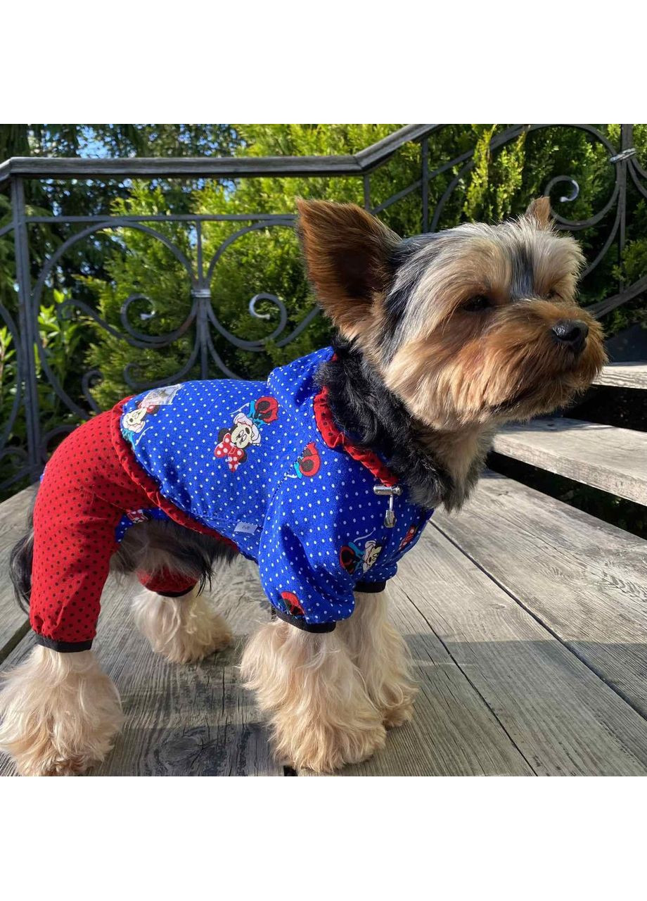 DOG STYLE - Літні комбінезони для собак No Brand (358652275)