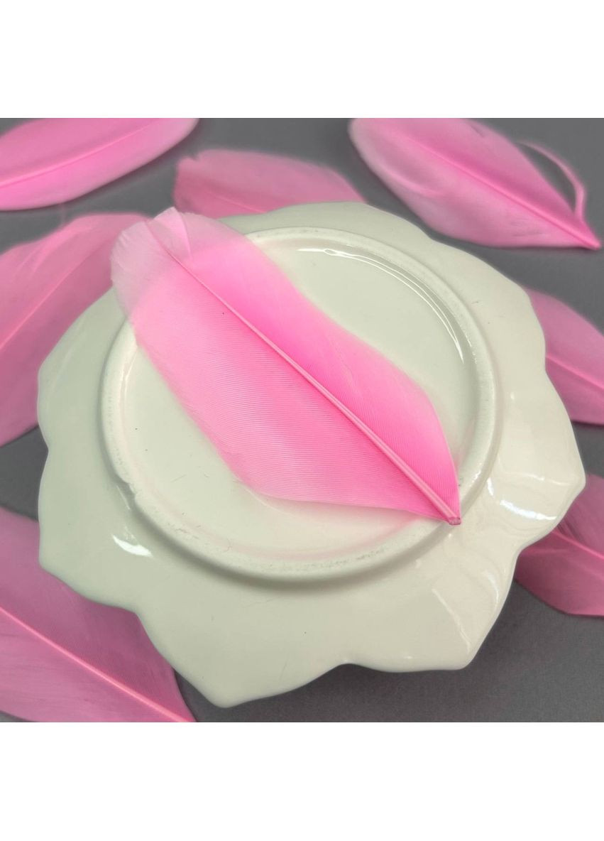 Перья гусиные для рукоделия 5-7 см, ∼50шт - розовый Plus-plus (354794049)