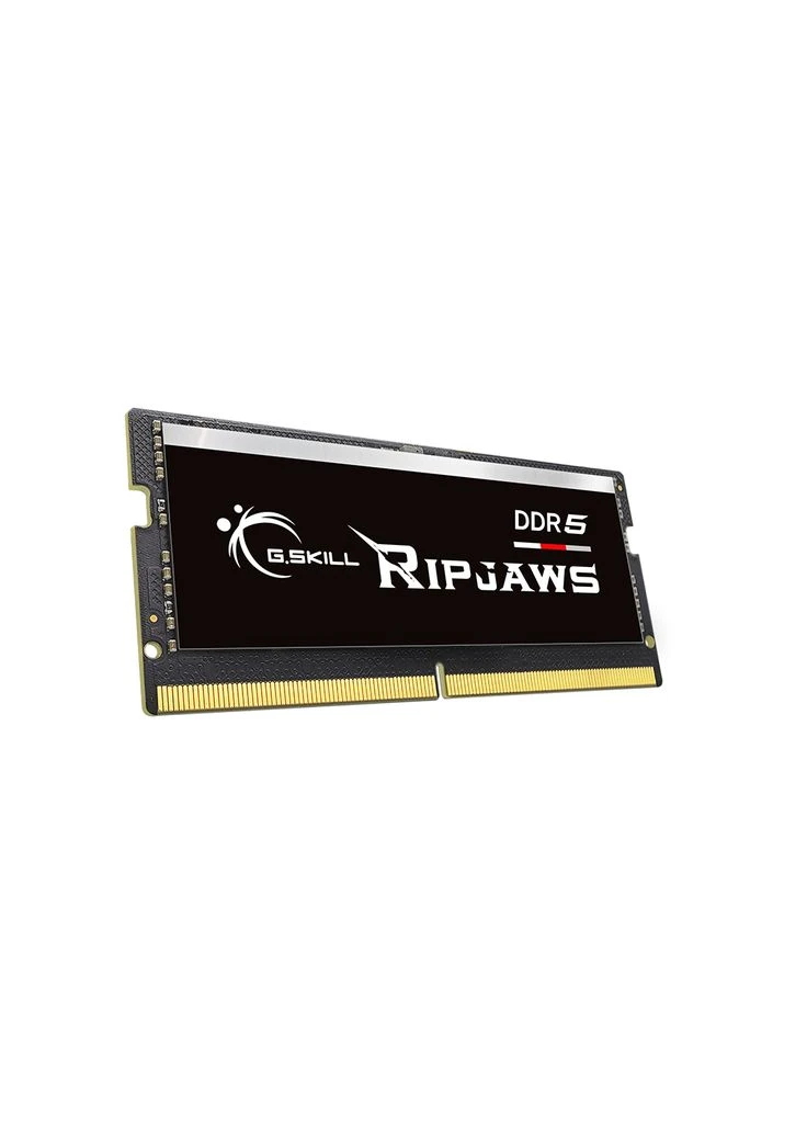 Модуль памяти для ноутбука SoDIMM DDR5 16GB 4800 MHz Ripjaws (F54800S3434A16GX1-RS) G.SKILL (304255488)
