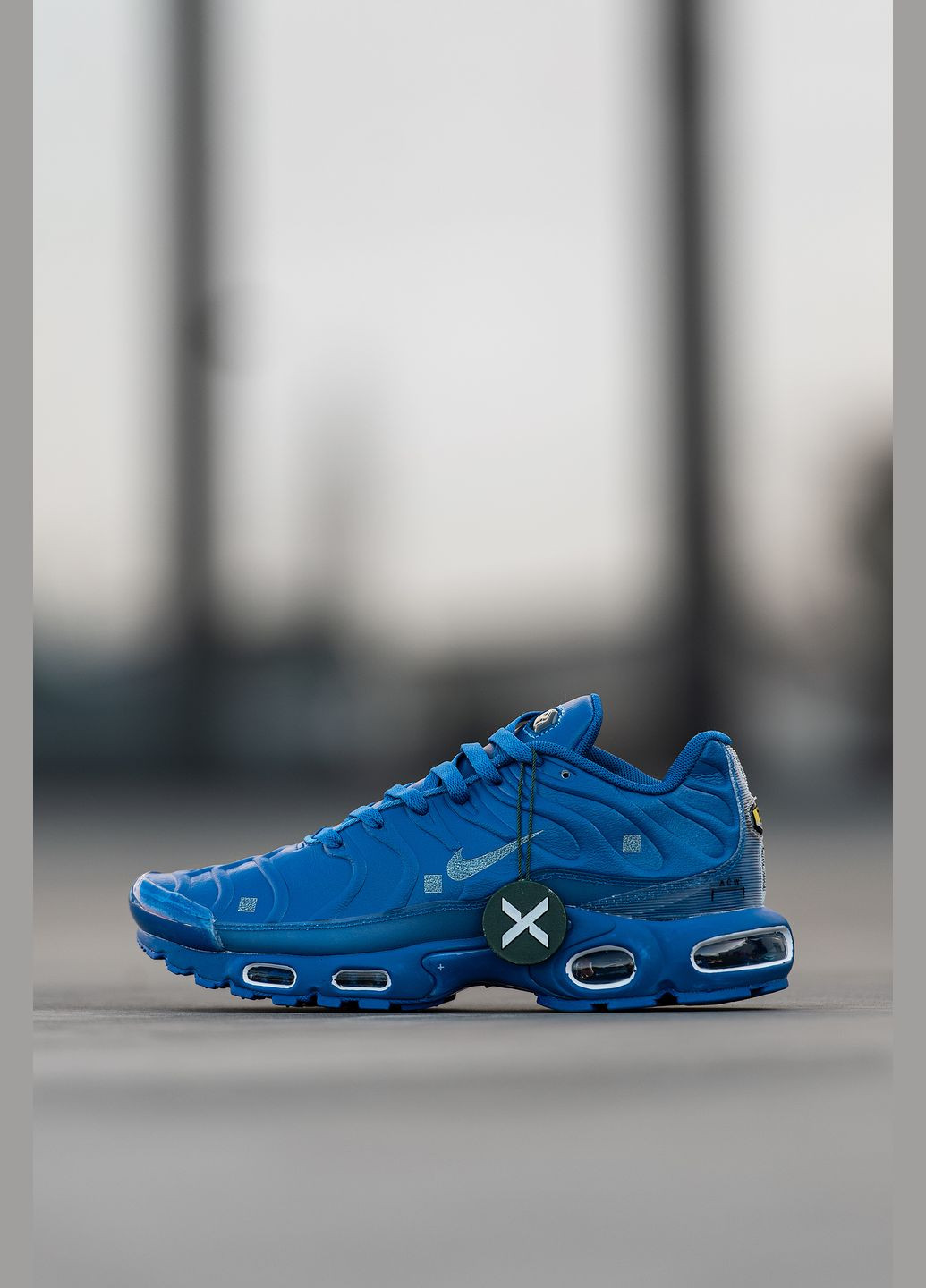 Синие демисезонные кроссовки мужские Nike Air Max TN Plus