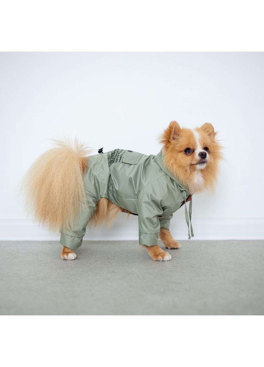 Дождевик для собак Dogs Bomba (362136437)