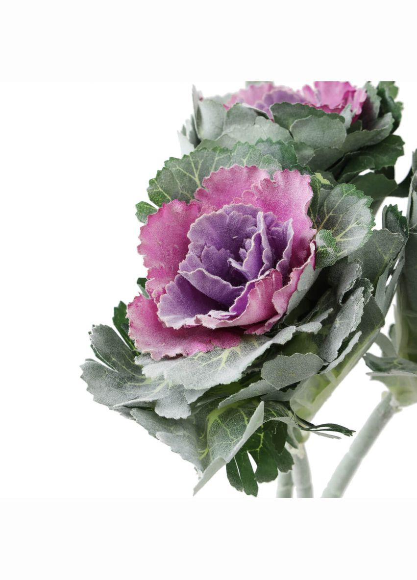 Брасика "Грація", фіолетова ELISEY (322248800)