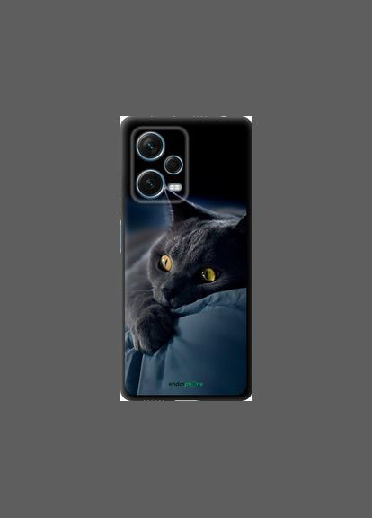 Чохол на Xiaomi Redmi Note 12 Pro+ 5G Димчастий кіт "825b-3612-2448" Endorphone (348068171)
