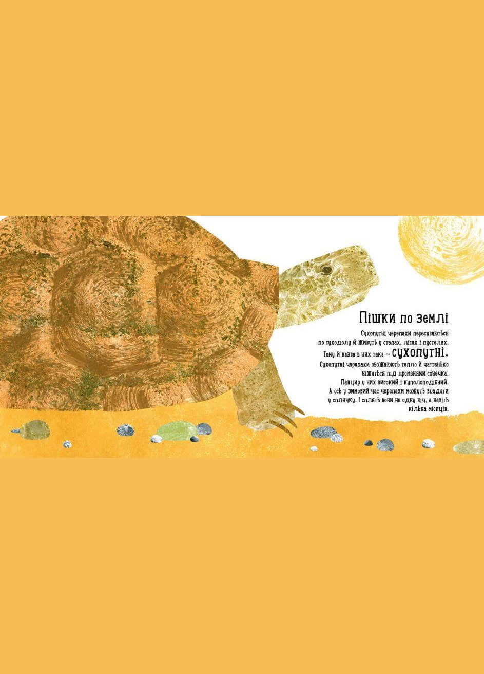 Книга дитяча Наталія Чуб "Куди поділася черепаха?" (S914004У) РАНОК (362429912)
