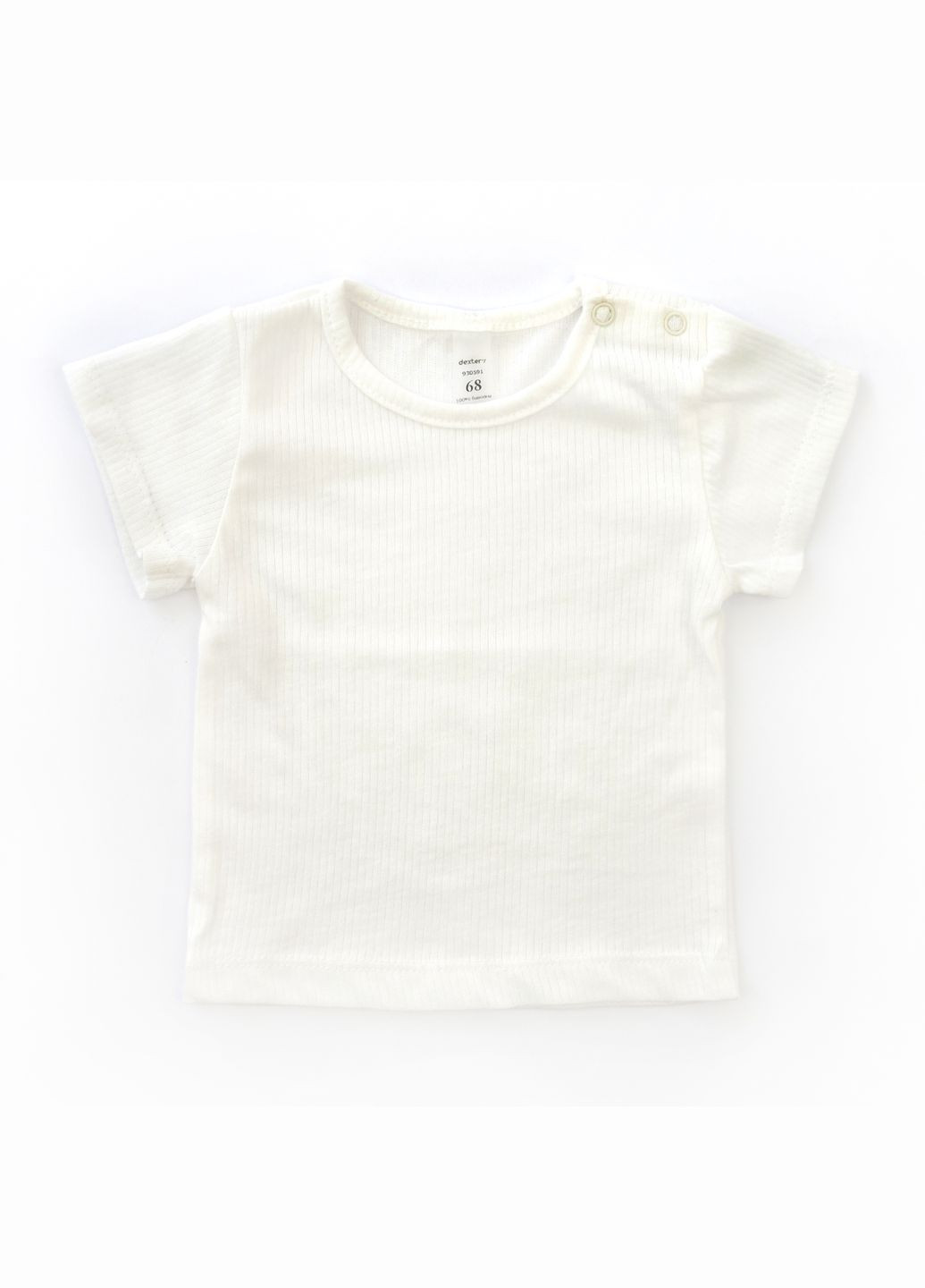 Ромпер Dexter`s с футболкой для мальчика с принтом пальм palms dexter's (345208545)