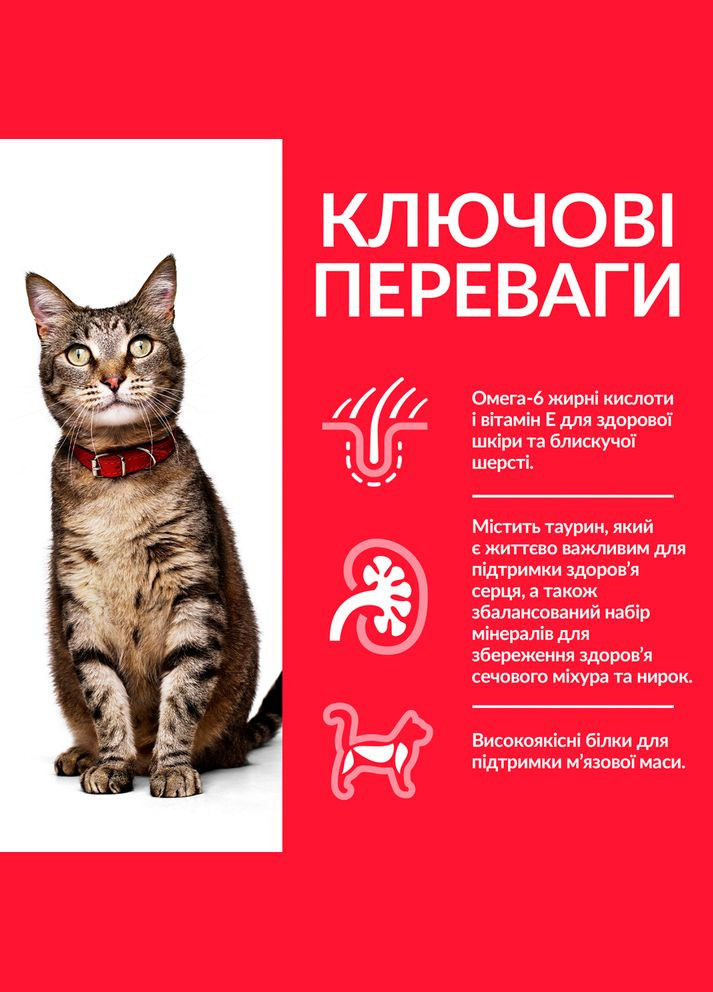 Сухой корм для котов Science Plan Feline Adult Optimal Care со вкусом курицы 15 кг 604063 HILLS (266274214)