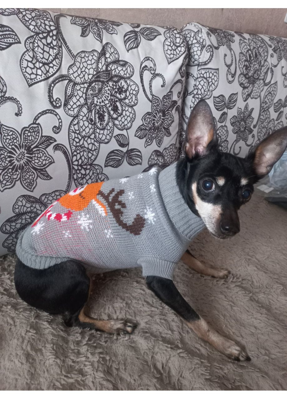 Свитер новогодний для кошек и небольших собак длина 31см Размер L Nobrand (372128408)