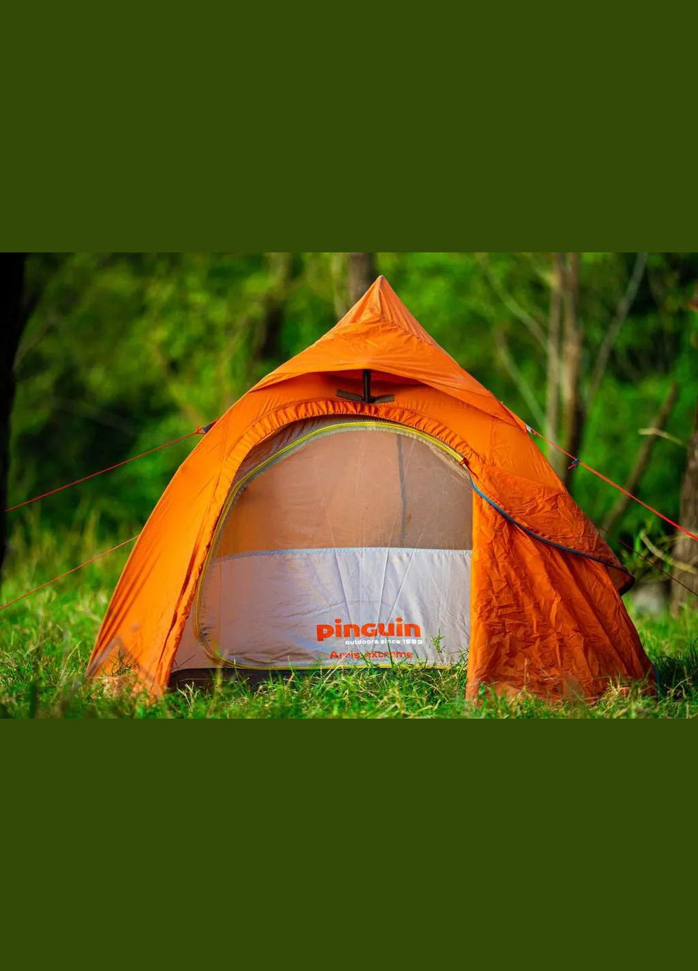 Намет Arris Extreme DAC 2 Orange Pinguin (316533714)