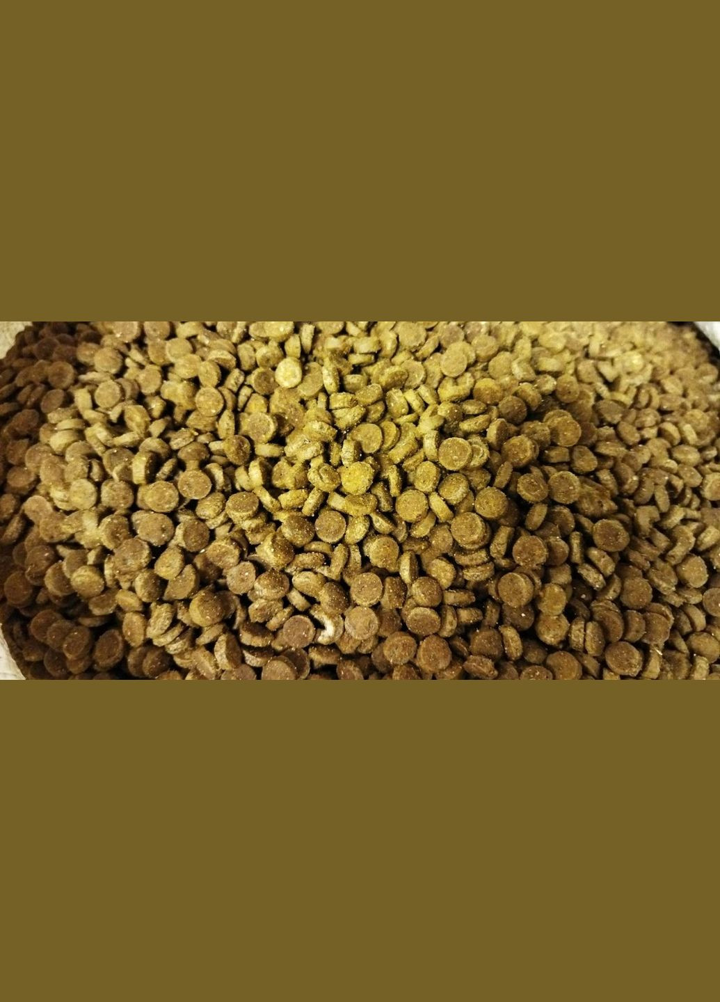 Сухий корм для котят ТМ 10 кг Моніка (355381084)