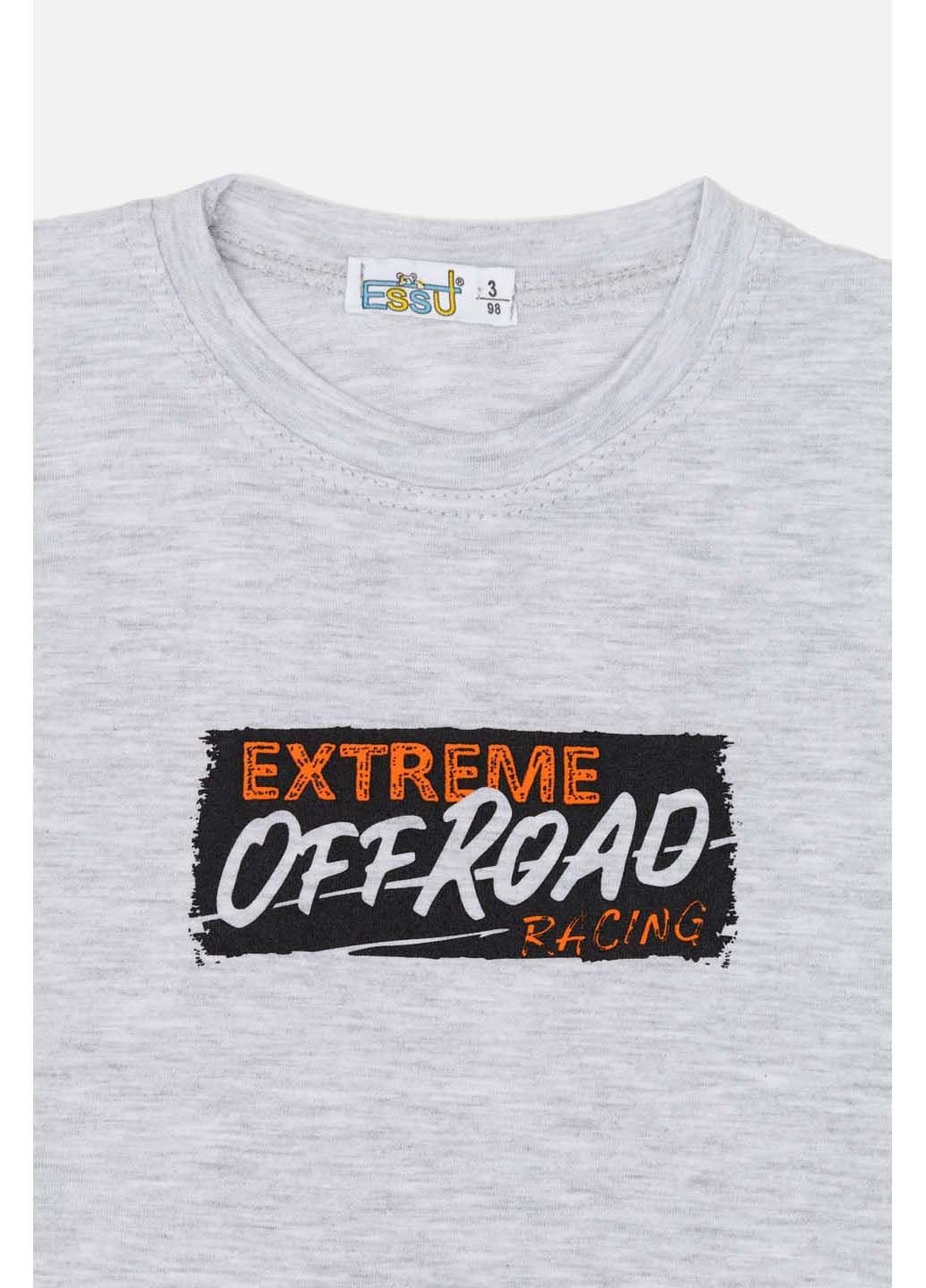 Светло-серая летняя футболка Essu