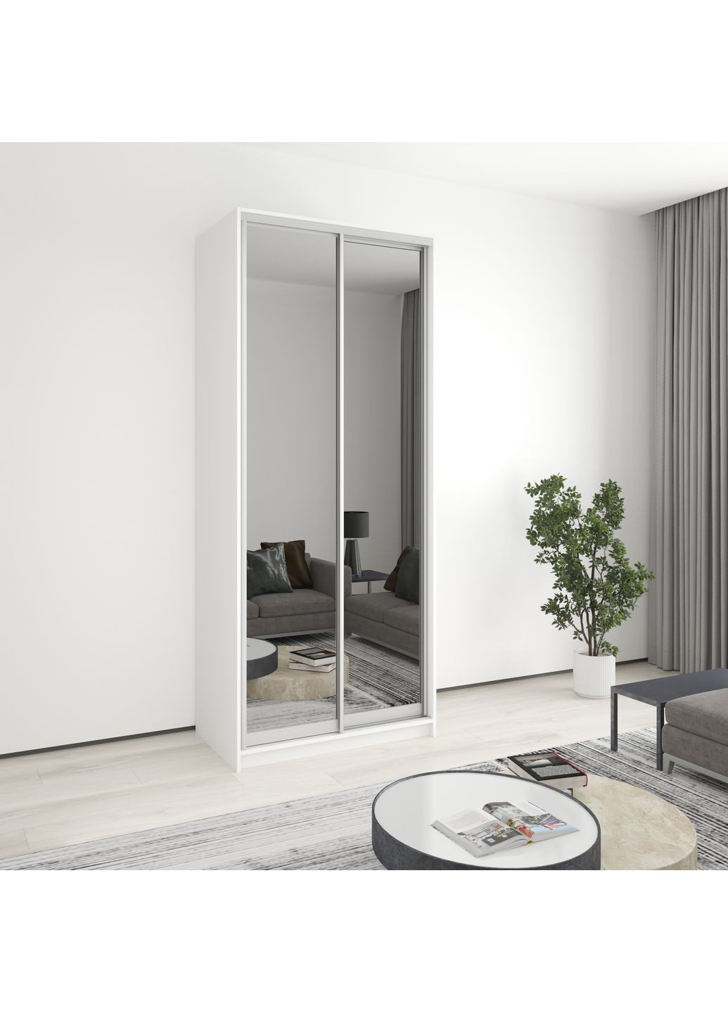 Шкаф-купе двухдверный Стандарт AL 2 Зеркала 100x45x240 см (MBS-3789) MebelStar (362373461)