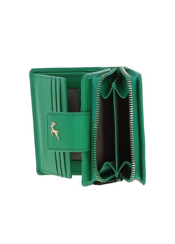 Гаманець Ashwood (338378787)