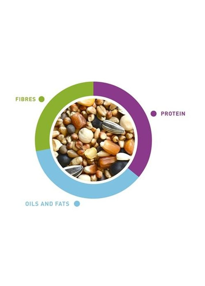 Основний корм NatMix Colombi 5кг, для поштових та декоративних голубів Padovan (364489159)