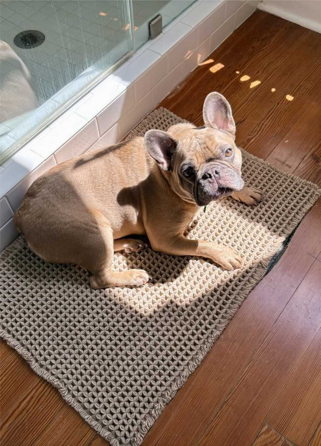 Коврик для ванной / туалета вафельный - 50 x 80 см Серый (237253) Lovely Svi Антиковзаючий (363837099)