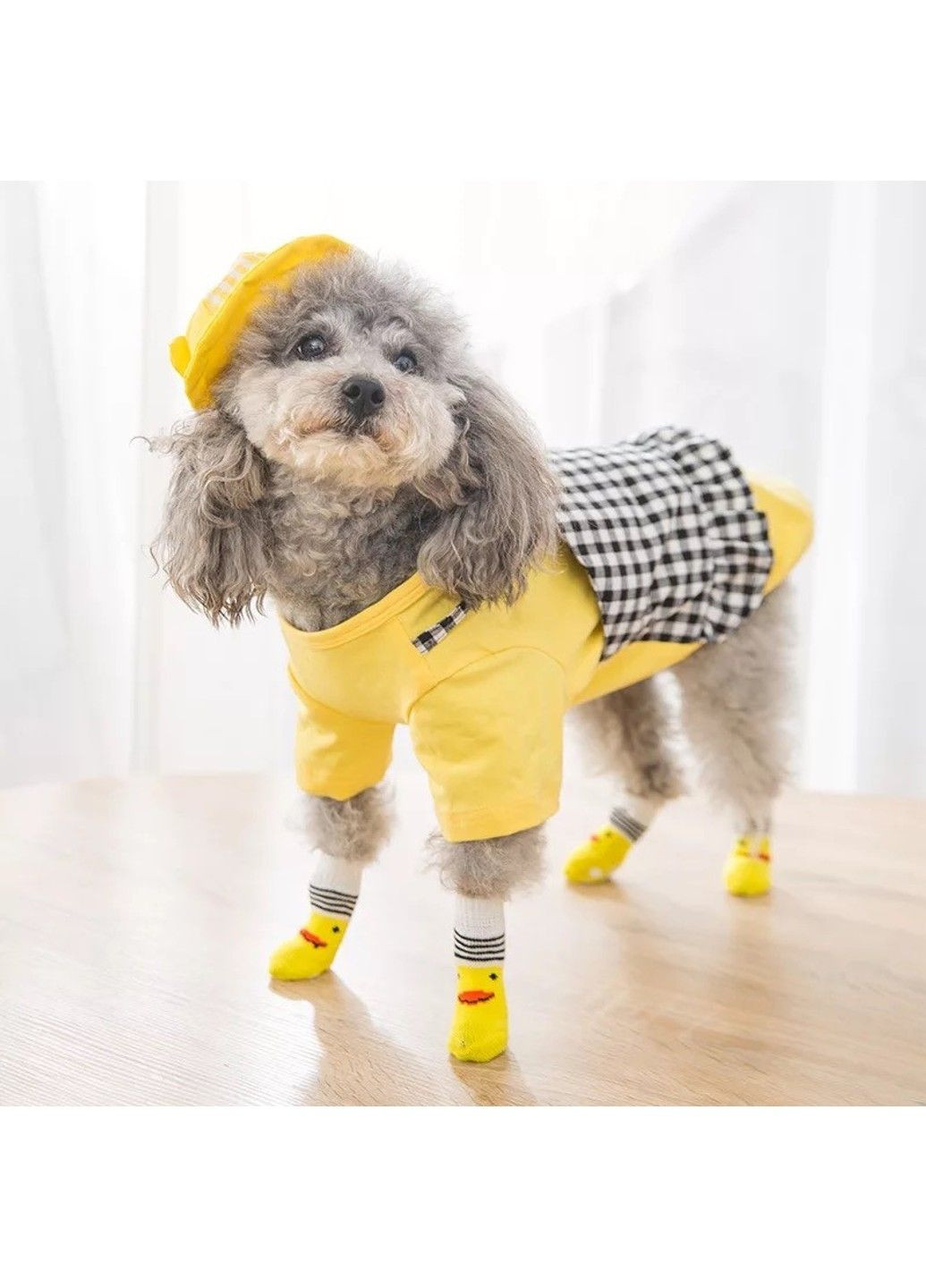 Носки с антискольжением для собак хлопок "Dack" Size S Xtep (320953083)