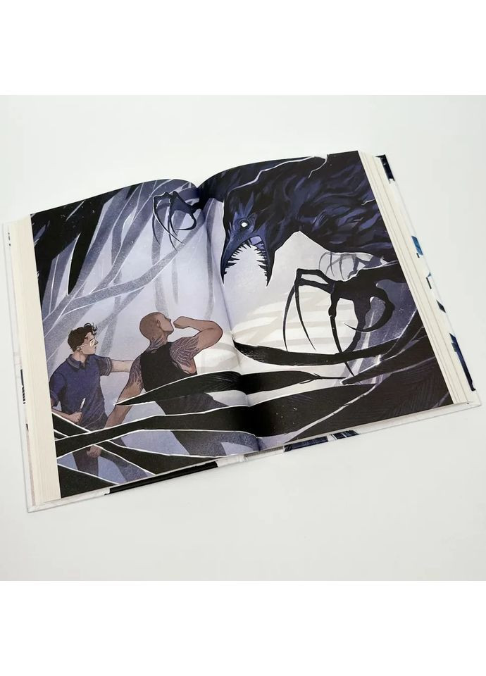 Викрадачі снів — Стівотер Меґґі |, книга українською, нова, тверда No Brand (363985182)