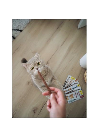 М’ясні палички для кішок, індичка та кролик, 4 шт (*) GimCat (322773837)