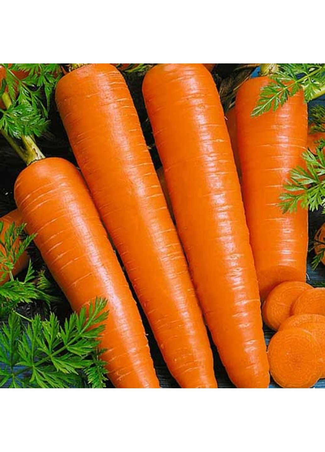 Семена моркови Вита Лонга Bejo Zaden (333036009)