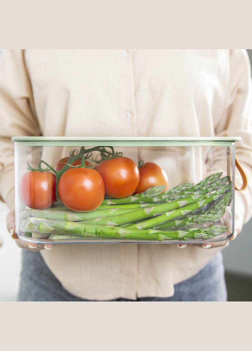 Контейнер для зберігання MY HOME Прозорий із зеленим (KP-01 M T/GREEN) MVM (305590475)