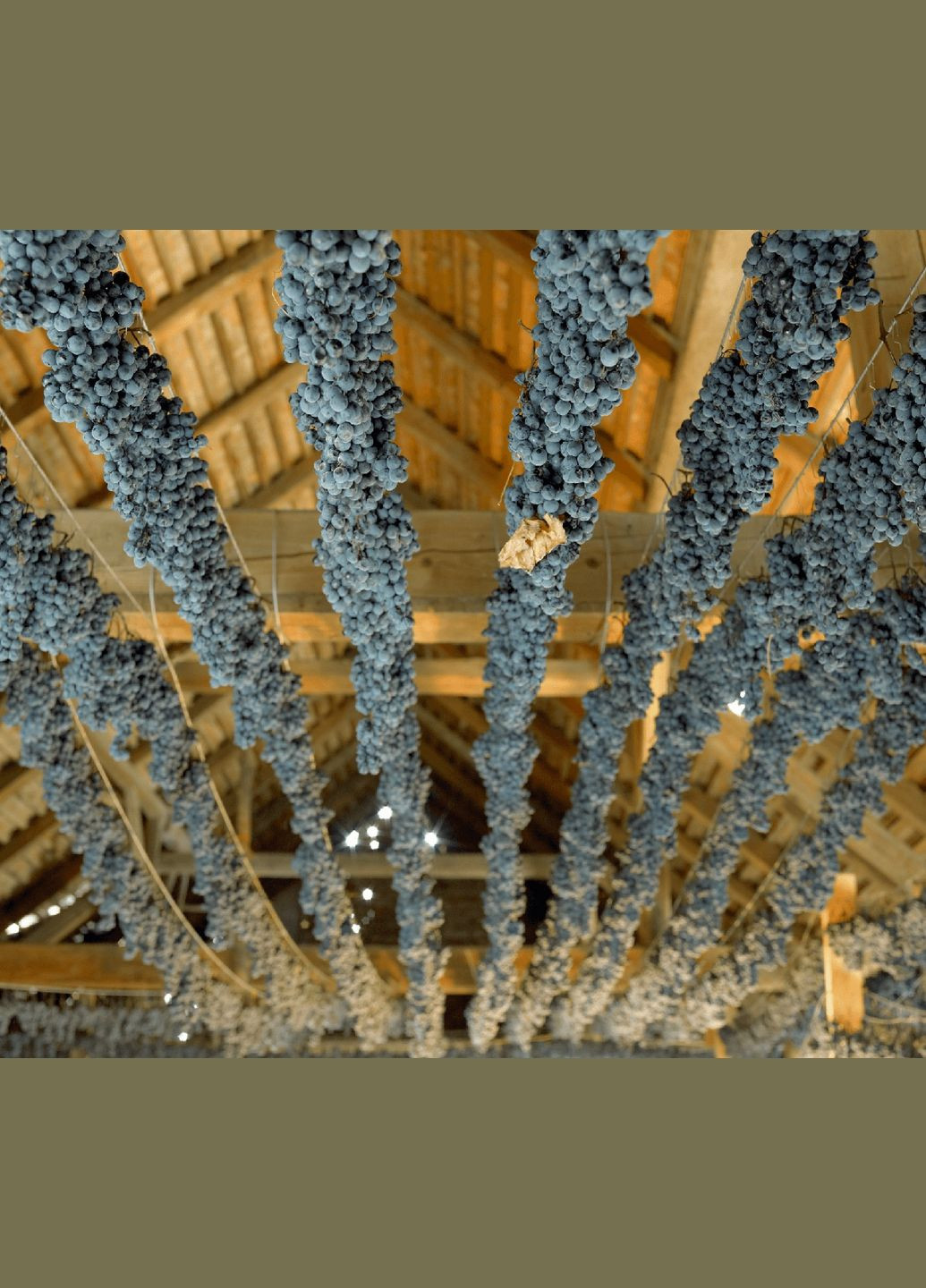 Изюм синий теневой сушки 500 г No Brand (313101936)