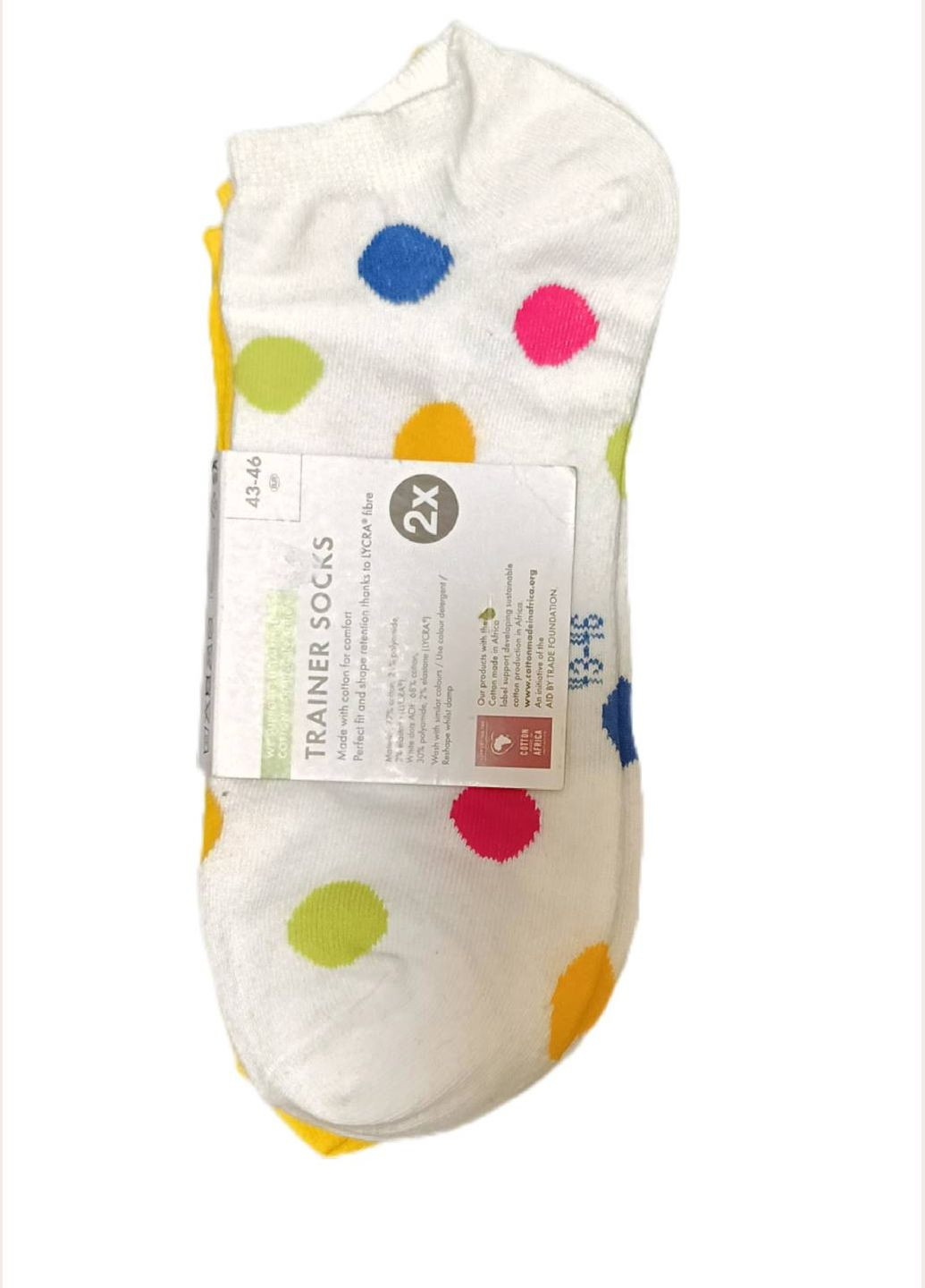 Комбіновані набір шкарпеток 2 шт. Lidl (349822192)