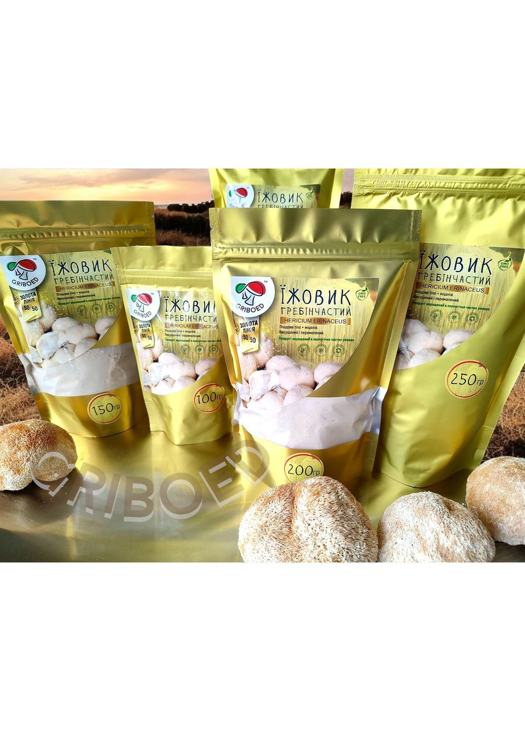 Їжовик гребінчастий - 200 грам. "ЗОЛОТА ЛІНІЯ" - МАКСИМАЛЬНИЙ ЕФЕКТ! Висушений та перемелений. GRIBOED Їжовик у порошку (371764005)
