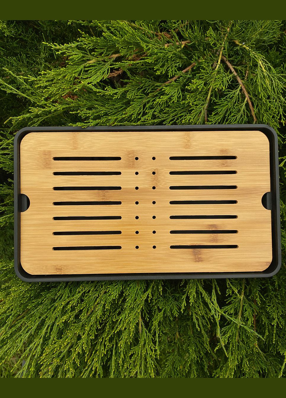 Чабань "Бамбук" Tea Dragon (341737914)