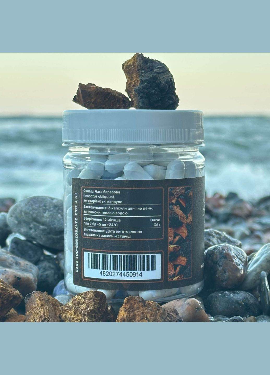Чага березова, капсули 120 шт по 0.3 г Лісовик (334292868)