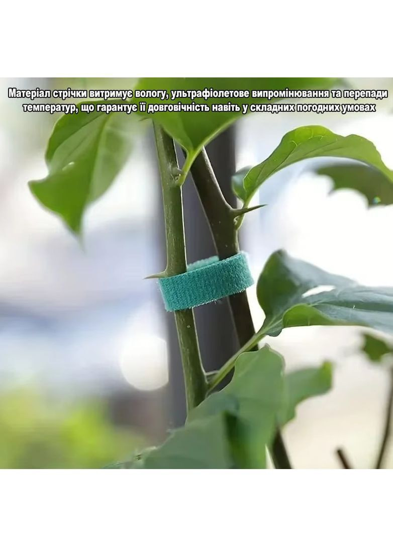 Многоразовая садовая лента-липучка для фиксации и подвязки растений зеленая ширина 15 мм рулон 5м No Brand (370287171)