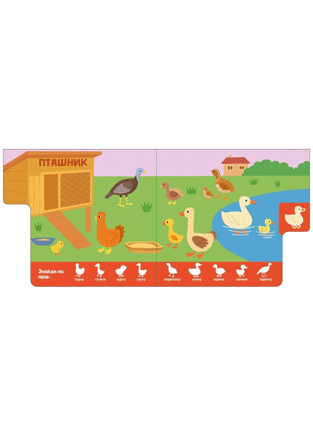 Книга Найди-ка меня!: Мамы и детеныши А1710013У Разноцветный shop (9786170993526) РАНОК (365618807)