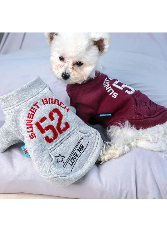 Костюм ТОЛСТОВКА с номером (размер XS) серая No Brand (368710440)