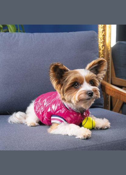 Бомбер «Grace» для собак, розмір, рожевий (*) Pet Fashion (323154116)