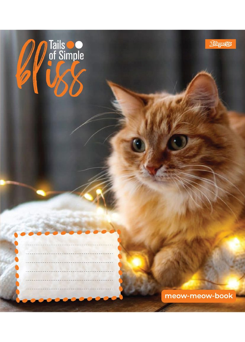Набор тетрадей школьных 1Bересня А5/12 клетка Bliss 25 шт (768051) 1 Вересня (352167322)