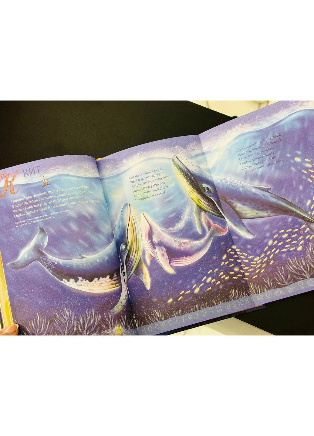 Книга Абетка дослідників Олеся Переста Видавництво "Видавництво Абрикос" (328453390)